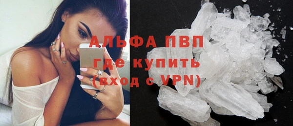 PSILOCYBIN Балабаново