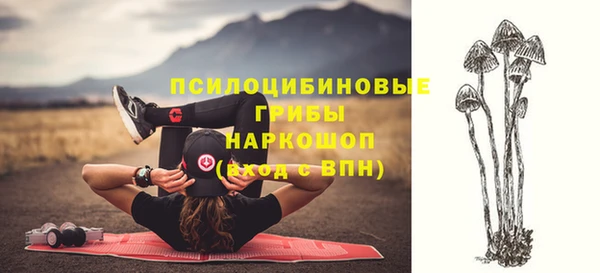 PSILOCYBIN Балабаново