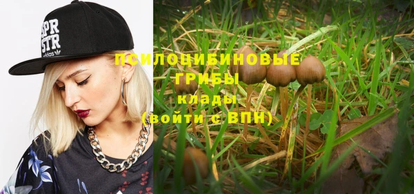 ПСИЛОЦИБИНОВЫЕ ГРИБЫ Баксан