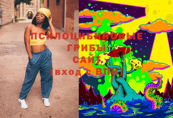 ПСИЛОЦИБИНОВЫЕ ГРИБЫ Белоозёрский