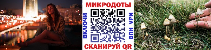 Псилоцибиновые грибы MAGIC MUSHROOMS  сколько стоит  ОМГ ОМГ онион  Рудня 